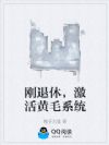 刚退休,激活黄毛系统